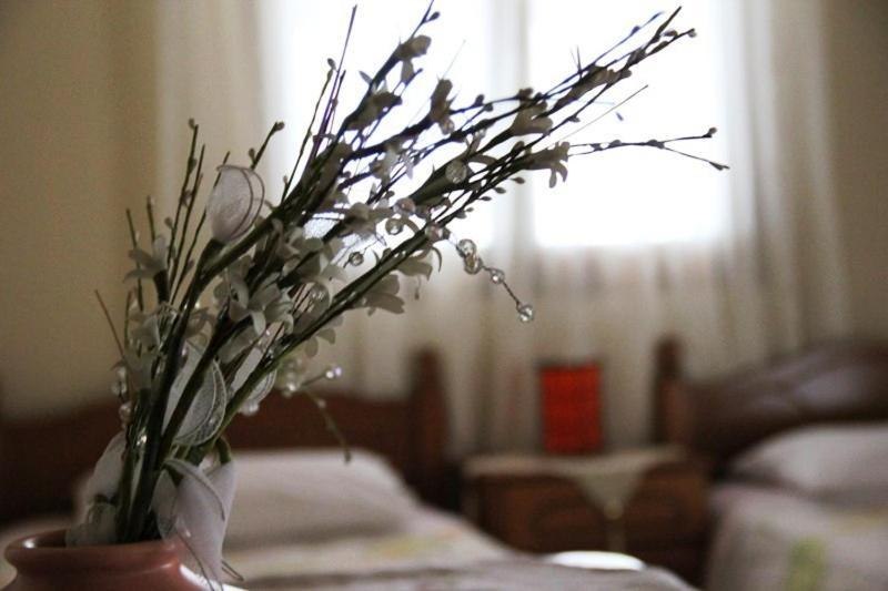 Apartmán Stis Kyra - Vasilikis Ioánnina Exteriér fotografie